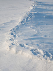 The path on the tundra