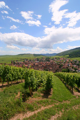 Fototapeta na wymiar Alsace