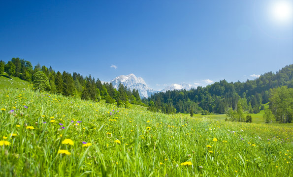 &ouml;sterreichisches Bergpanorama