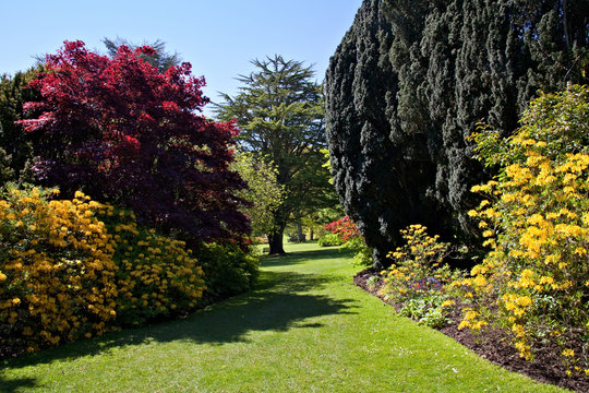 Glorious English Garden