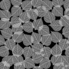 Fototapeta na wymiar Leaf Pattern