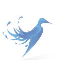 Bird of water in a white background. Illustration.