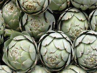 Fototapeta premium Artischoken