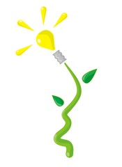 Lighting flower illustration in a white background