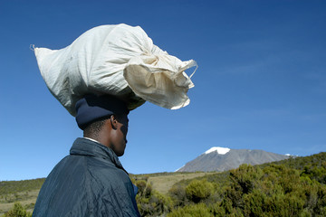 porteur devant le kilimanjaro - obrazy, fototapety, plakaty