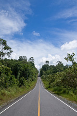 Road in national park