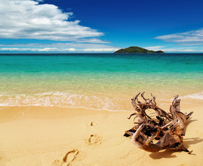 Obraz premium Tropical beach