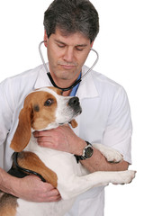 vet and dog