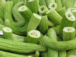 Fresh Green Cucumbers