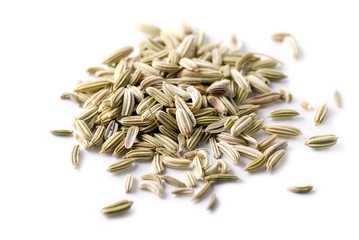Fennel Seeds © Barbro Bergfeldt