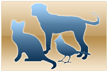 hund katze vogel