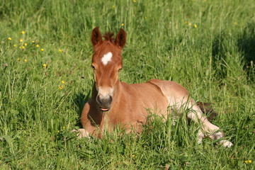 Repos au soleil