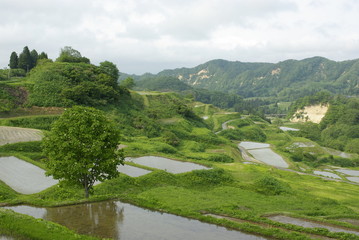 棚田 © ma510na