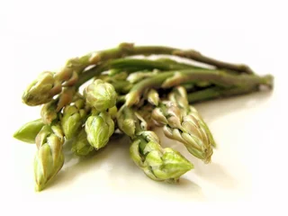 Stoff pro Meter Isolated wild asparagus © Cyhel