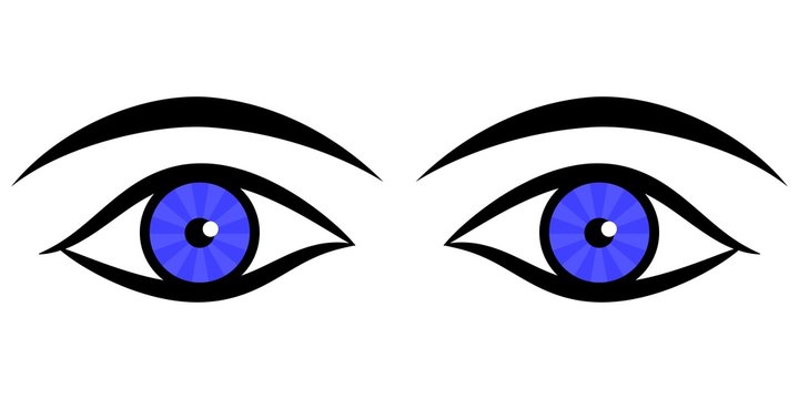 Vector of human eyes and eyebrows