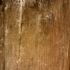 wood grungy background