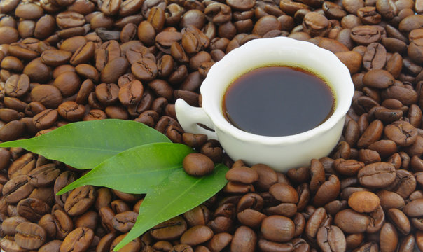 Coffe