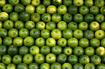 Lime Abstract