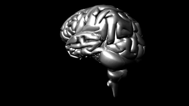 3D Animation of a human brain in High Definition