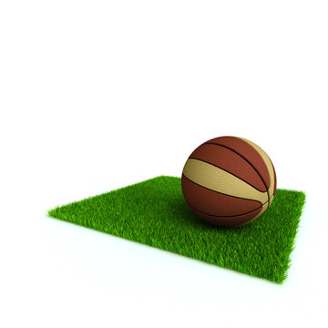 basketball on a lawn from a green bright grass