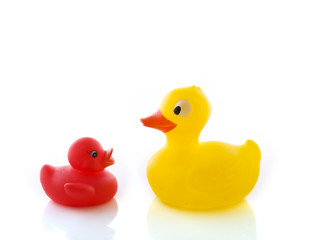 Yellow and red duck