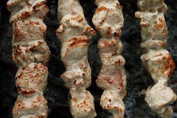 Shashlik on the grill