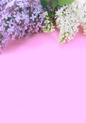 Background with a lilac