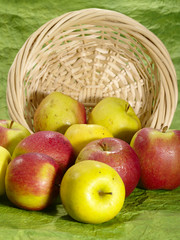 wet juicy apples on green background in straw plate