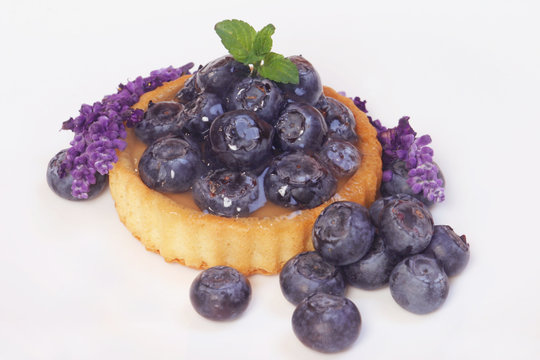 Blueberry Tartlet