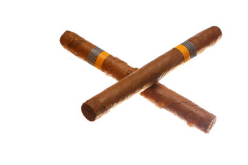 havana cigars isolated on white