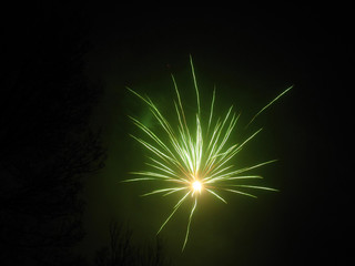 green fireworks in a dark sky