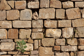 Stone wall of Mayan ruins