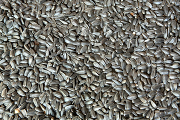 Sunflower seeds