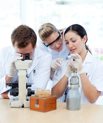 People working in a laboratory