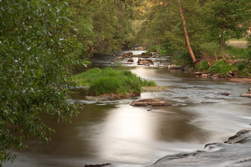 Obraz premium bach 6