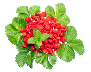 strawberry and leaves
