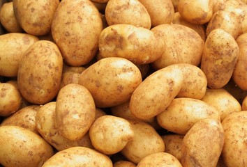 early potatoes
