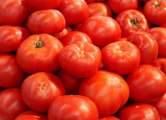 tomatoes