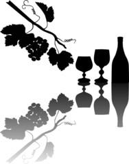 vine and wine