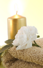 relaxation and body treatment