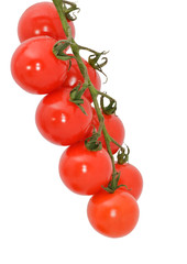 branch of red tomatoes