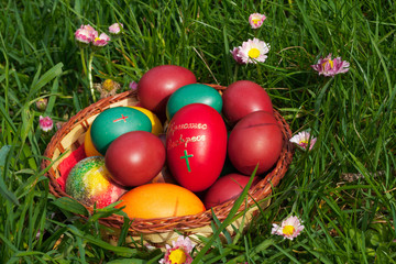 Colorful Easter eggs in grass and flowers
