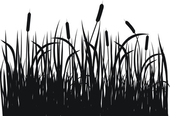Grass vector silhouette - obrazy, fototapety, plakaty