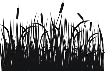 Foto op Canvas Grass vector silhouette © kaetana