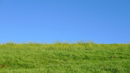 Wiese und Himmel