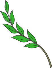 Fototapeta premium Olive branch
