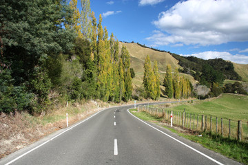 Fototapeta na wymiar Drogi wiejskiej w Nowej Zelandii