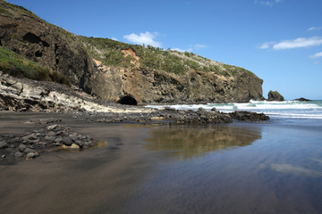 Fototapeta na wymiar Bethells Beach, Nowa Zelandia