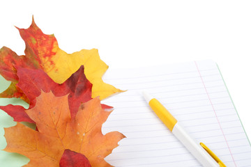Writing-book, pen and autumn leaves