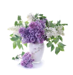 Foto op Plexiglas Bouquet of a lilac © SASHA